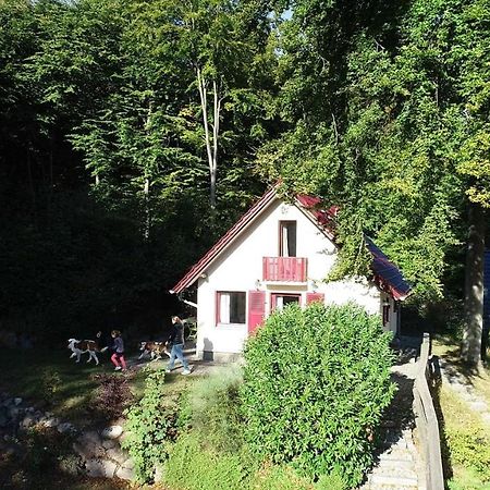 הוילה Sellin  Ferienhaus Rotkaeppchen מראה חיצוני תמונה