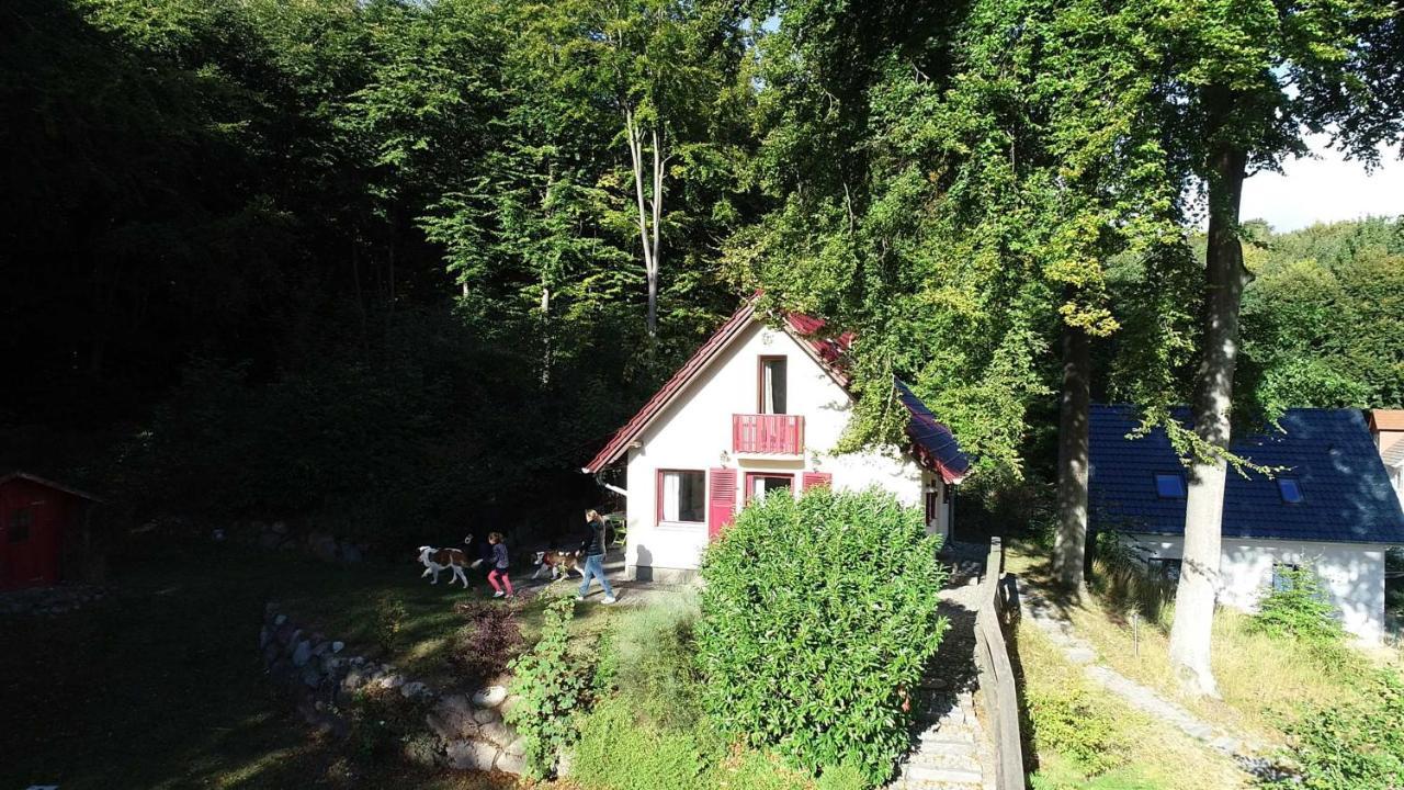 הוילה Sellin  Ferienhaus Rotkaeppchen מראה חיצוני תמונה